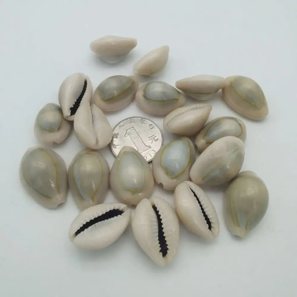 Mixed Natural Sea Shells Starfish Decor For Fish Tank Landscape Hermit Crab House DIY Home Craft Art Design Tool
