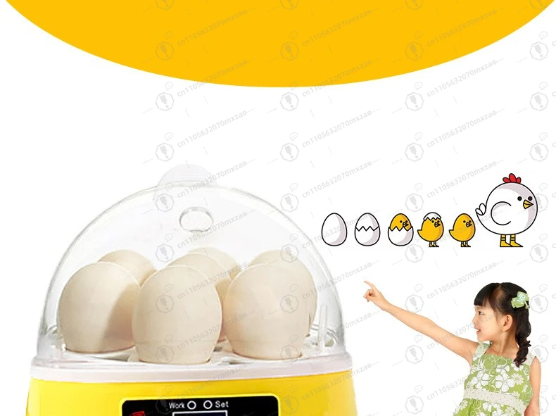 

Mini Intelligent Automatic Egg Incubator Small Home Use Hatching Machine for Quail Chicken Bird Eggs
