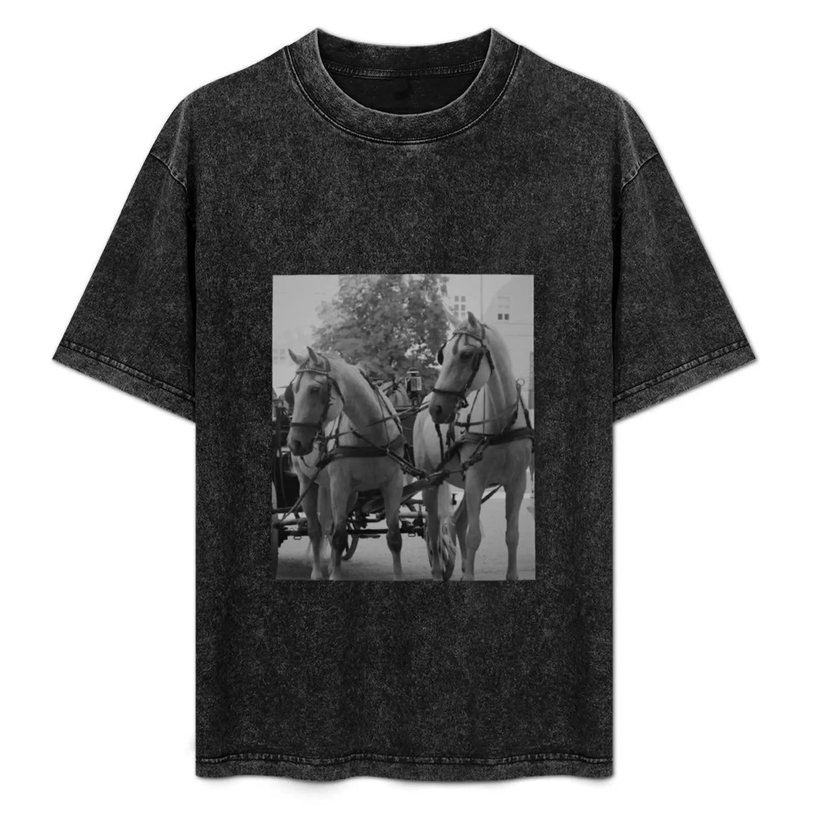 

Salzburg Fiaker Horses T-Shirt blue lock sweat gifts for boyfriend funny shirt cotton shirts graphic tee men
