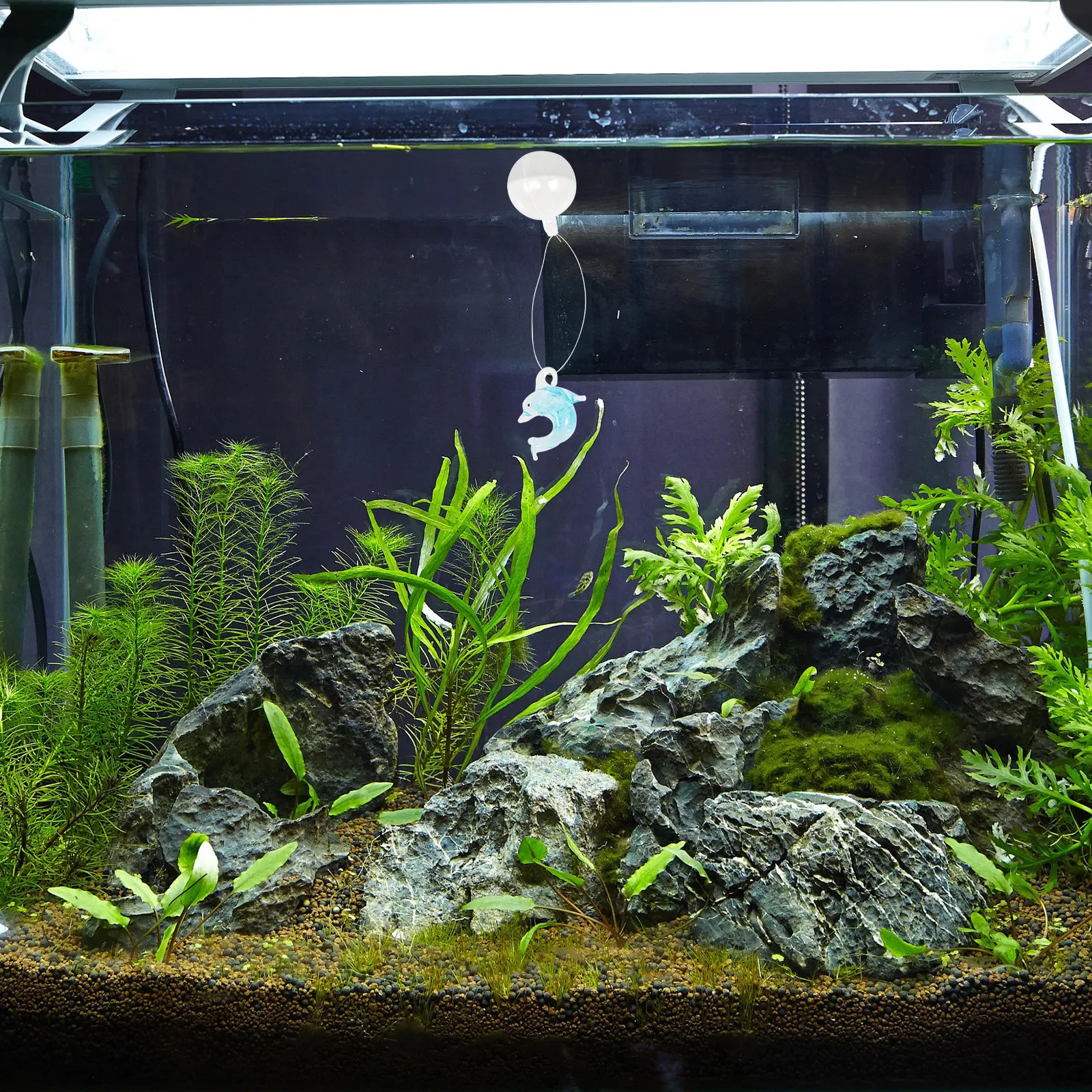 Glass Dolphin Aquarium Ornamen - Aquarium Fish Dolphin 评论和价格