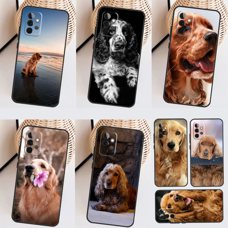 Cocker Spaniel Dog …