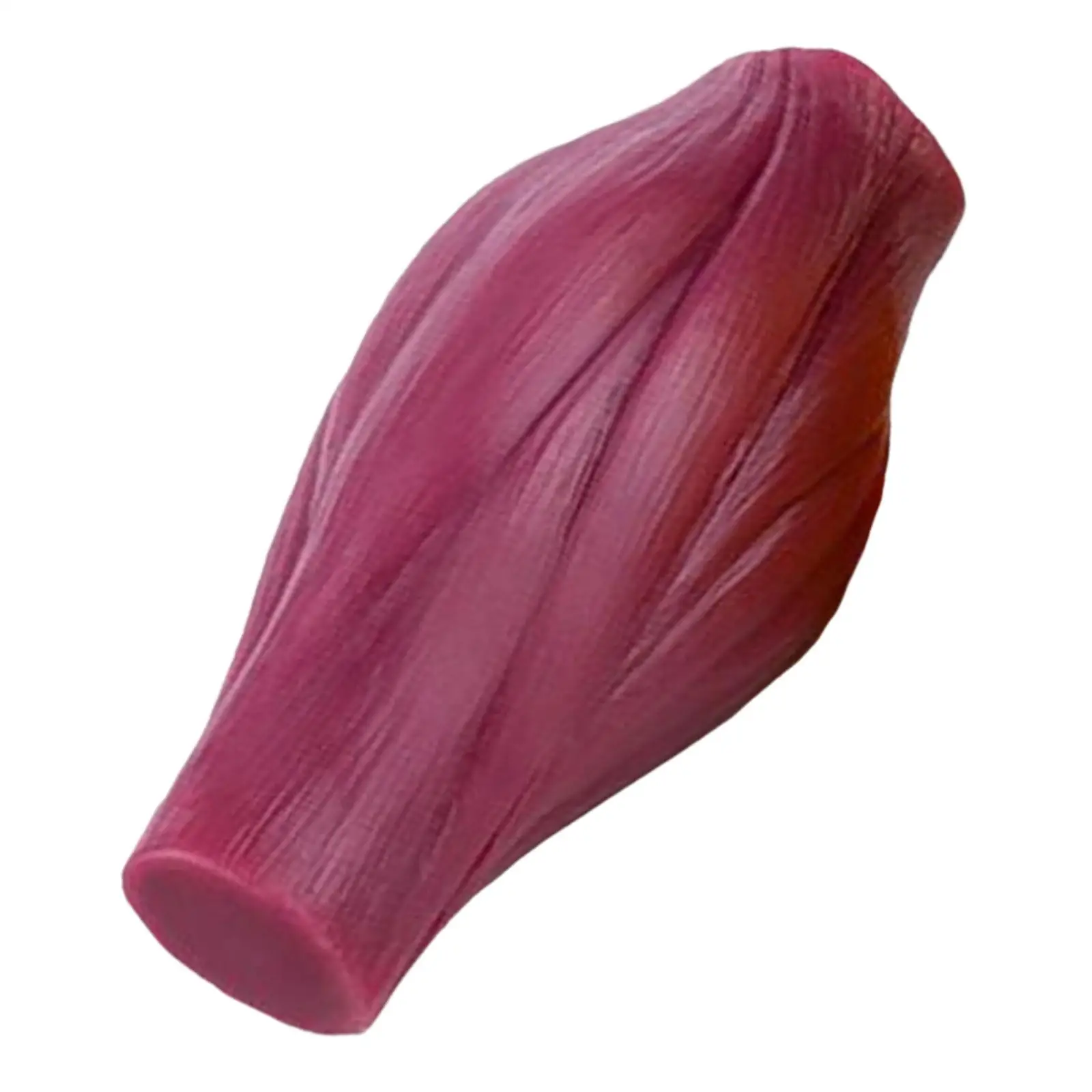 Body Muscle Model Scientific Life Size Easy to Carry Anatomical Model Teaching Tool for Fitness Enthusiast Medical Students