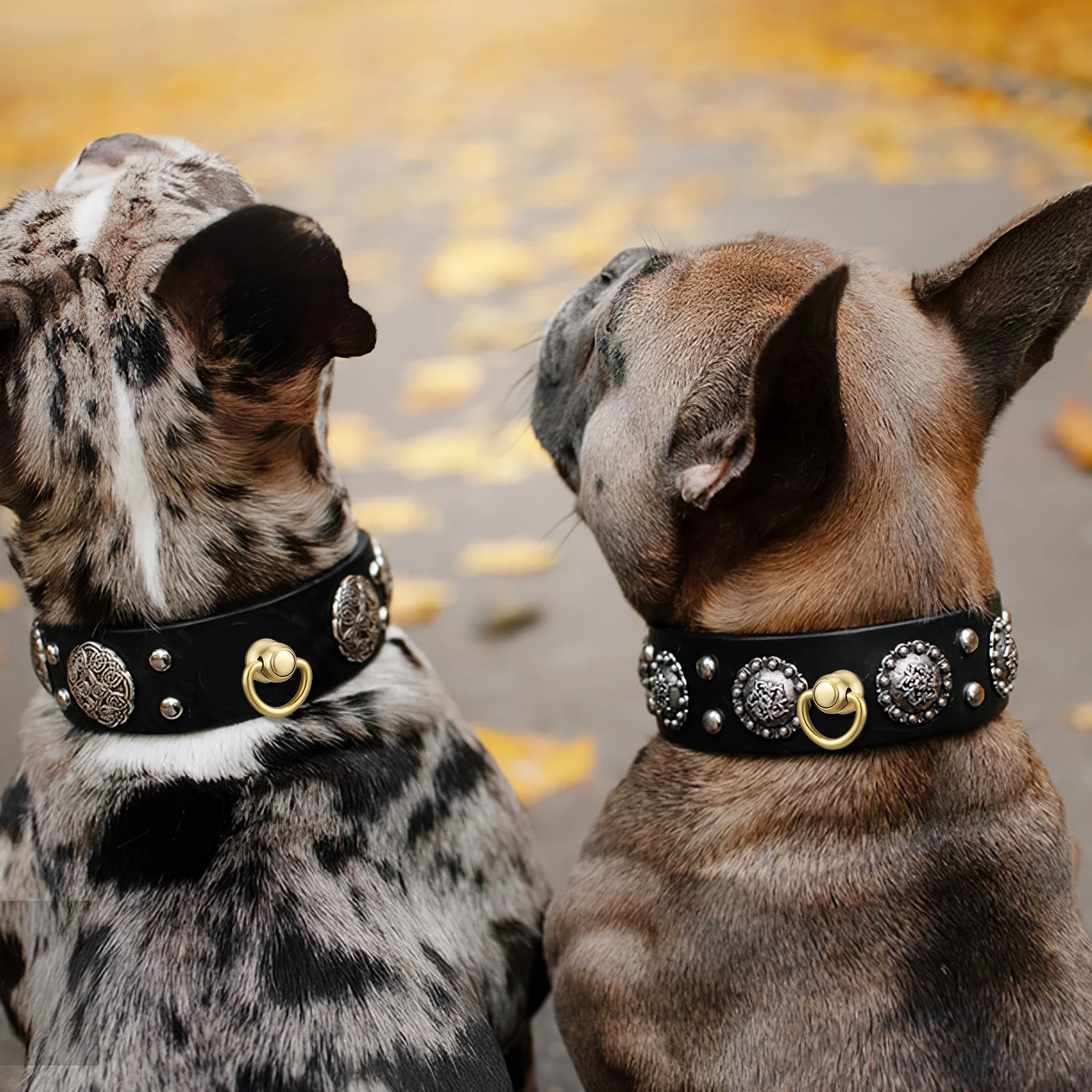 Metal D Rings for Purses 4pcs Brass Rivet Fasteners DIY Handbag Strap Connectors Craft Closure Hardware Accessories