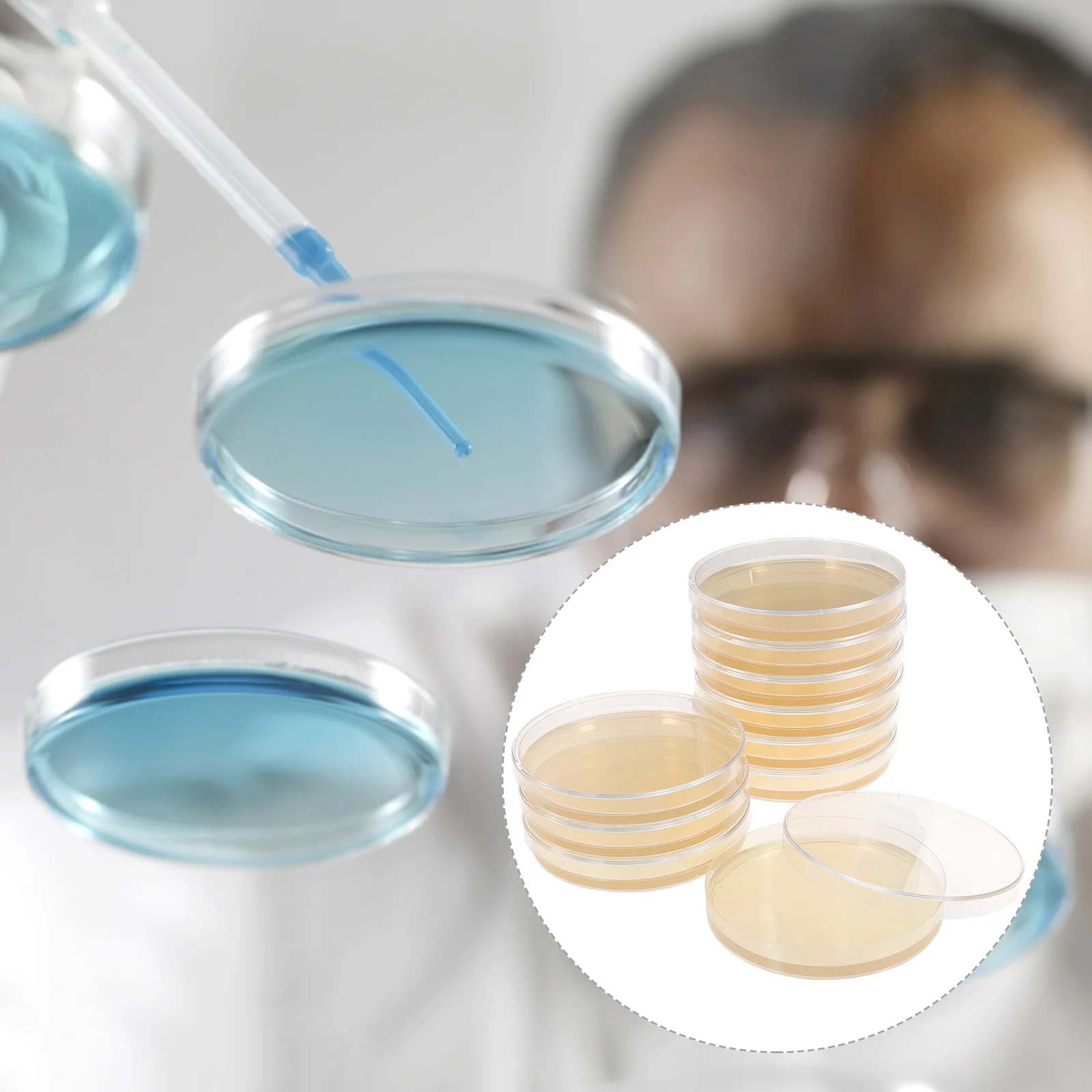 10 Pcs Kits Nutrient Agar Plate Tank Toy Plates for Laboratory Tool Tissue Culture