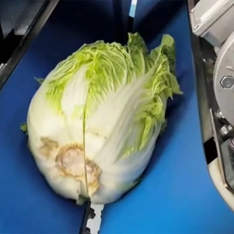 Custom Stainless Steel Sauerkraut Cabbage Tomato Red Yellow Green Pepper Half Cutting Machine Vegetable Half Cutting Machine