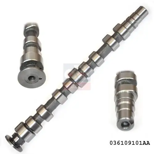 Store code: 58101 for camshaft exhaust POLO-BORA 1.4i * AWH * AWH *