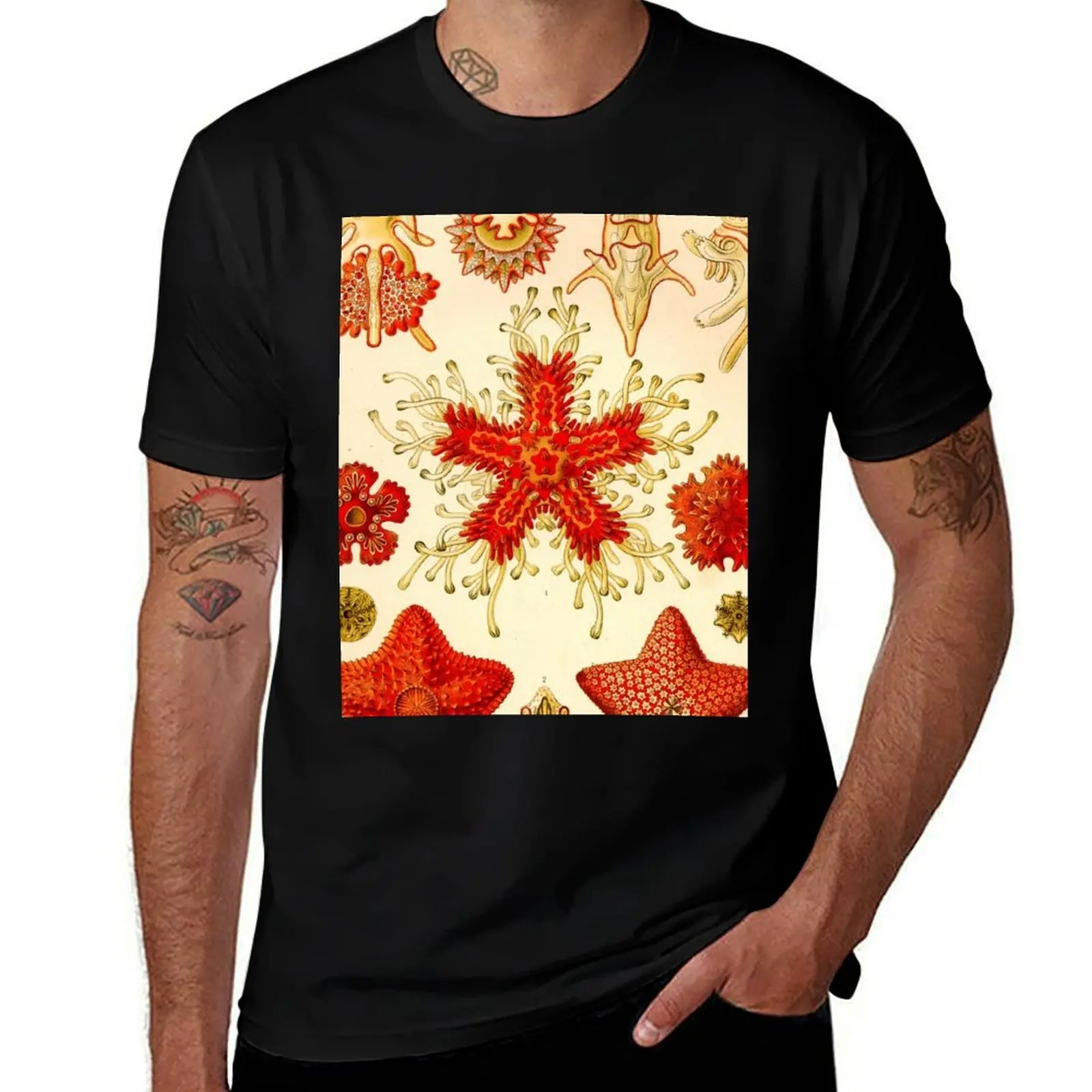 

Starfish - Ernst Haeckel T-Shirt man tshirt man t shirts graphic cotton tshirt 100% T-Shirt