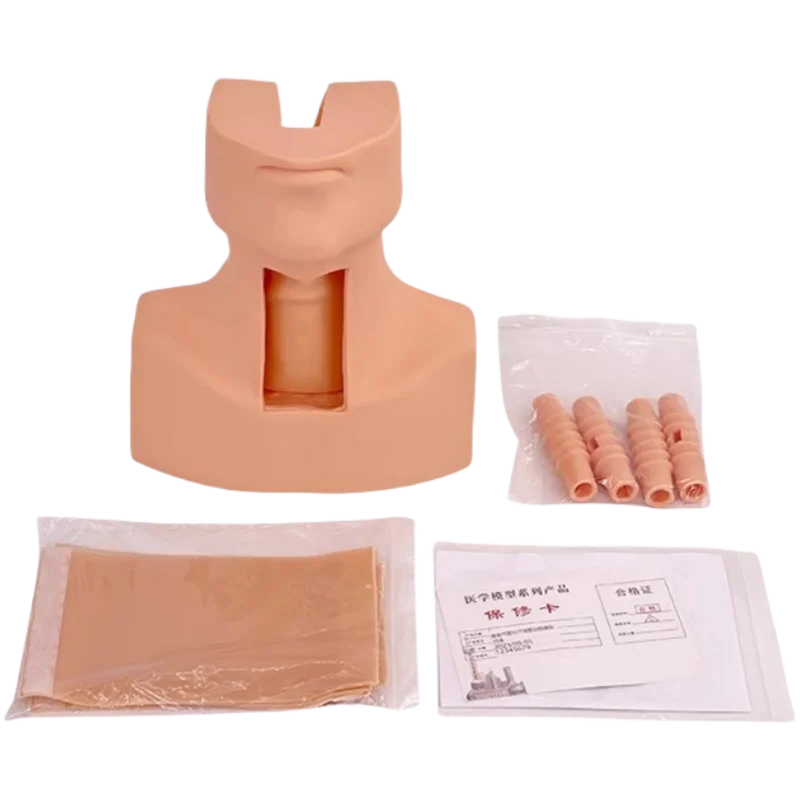 Medical Training Advanced Tracheotomy Intubation Training Model