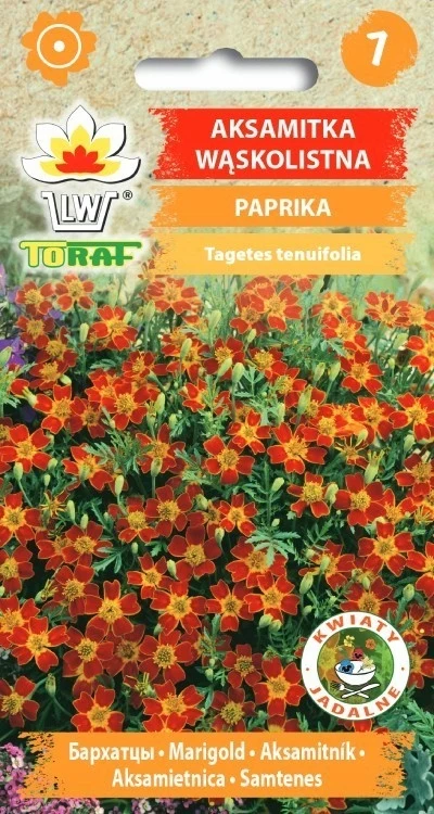 Smalbladige fluwelen paprika-0,5g TORAF-zaden 409
