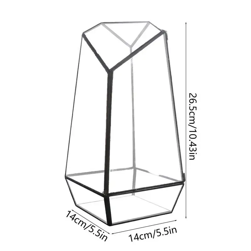 Terrario de vidrio para plantas, maceta moderna hecha a mano con puerta de 25cm, maceta pequeña geométrica