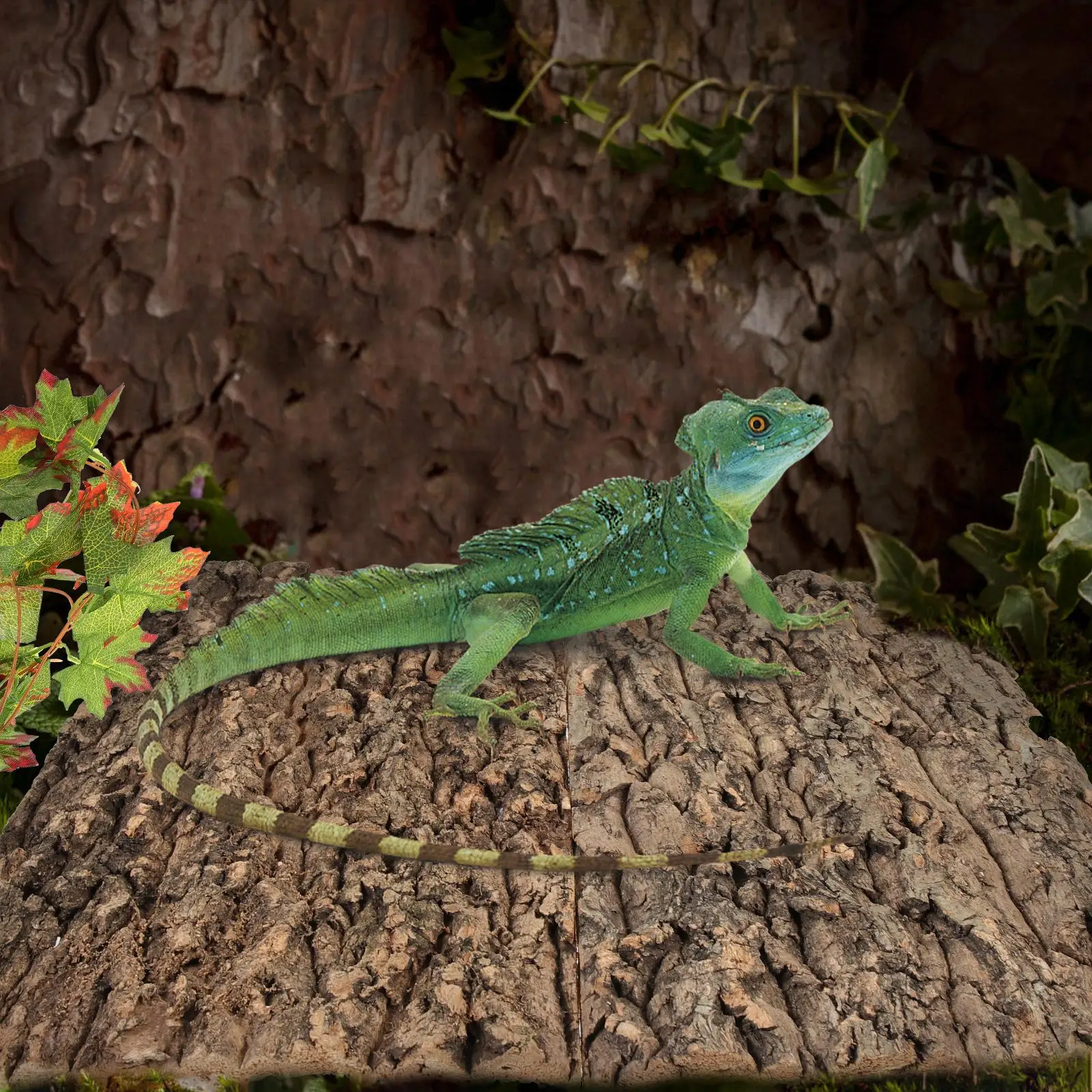 2 Pcs Climbing Bark Hide Tree Decor 30x20cm Terrarium Platforms Turtle Decorations Reptile Bark Platforms Terrarium Decor