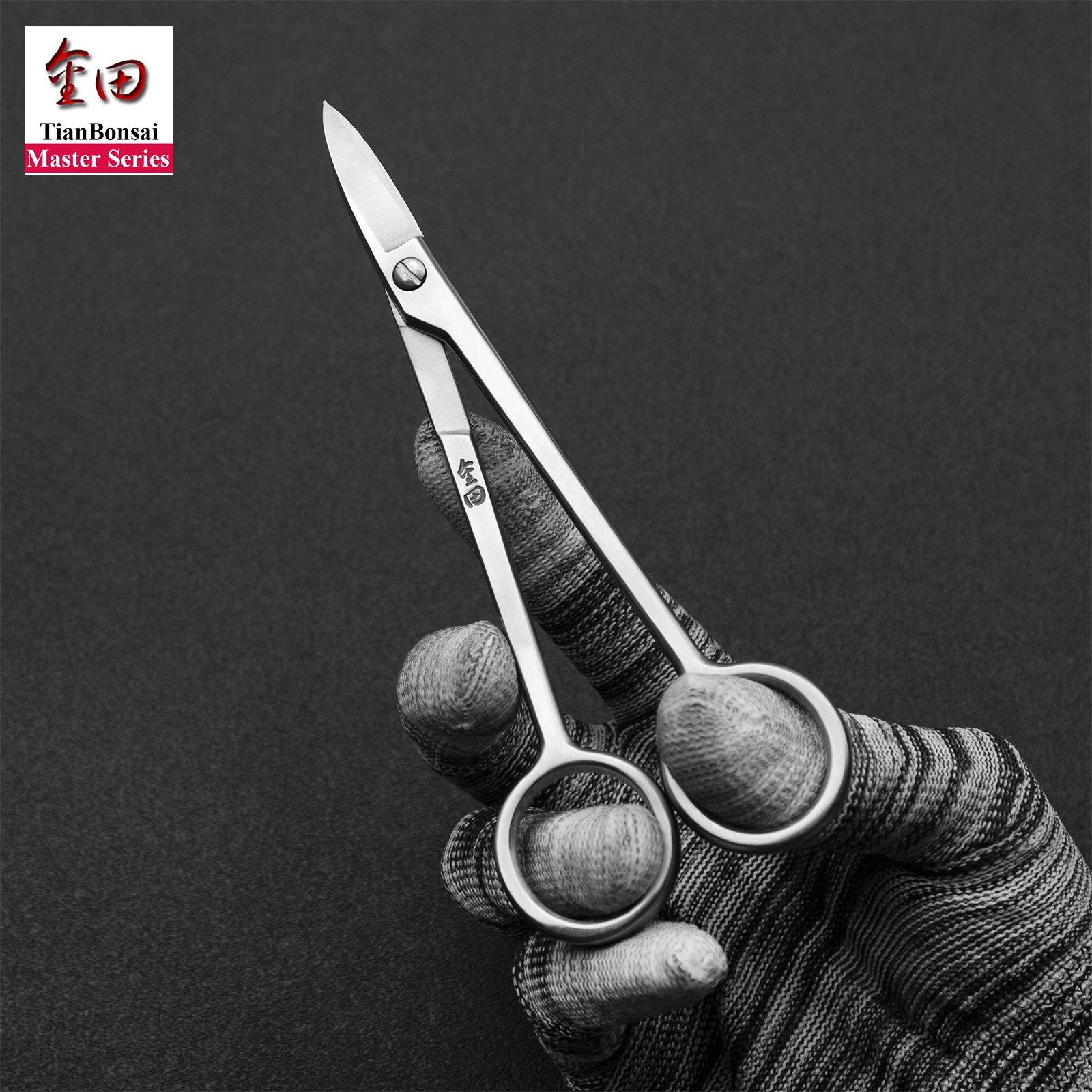 Master series 150 mm bonsai scissors forging by 5Cr15MoV Alloy Steel bonsai tools from TianBonsai