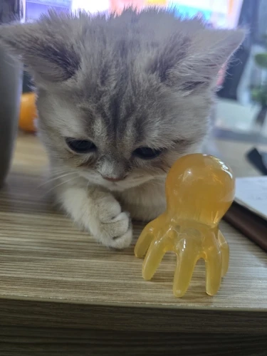 구매후기