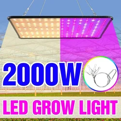 Latest Growing Lamps Led Full Spectrum Plant Bulb Greenhouse Indoor Plant Grow Light EU/AU/UK/US plug Multiple colors available