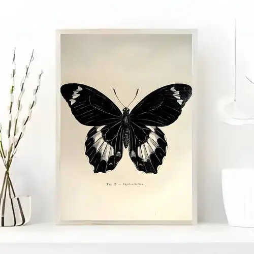 Black White Dark Butterfly Moth Poster art painting sticker with prints Home bedroom living room decoration gift - Image 6