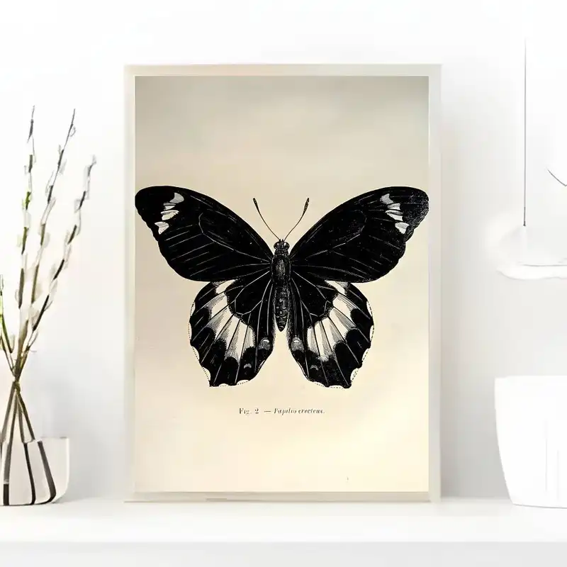 Black White Dark Butterfly Moth Poster art painting sticker with prints Home bedroom living room decoration gift - Image 6
