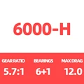 6000-H