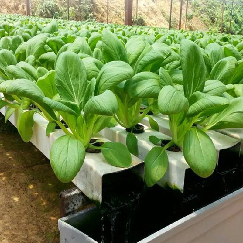 Tubi idroponico in PVC 2025 per la coltivazione di ortaggi e fiori Piantine coltivate in tubi quadrati di plastica