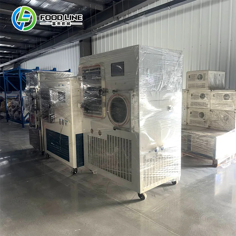 Customized Small Lyophilizer Freeze Dryer Mini Home Small Food Freeze Dryer Machine Freeze Dry Machine