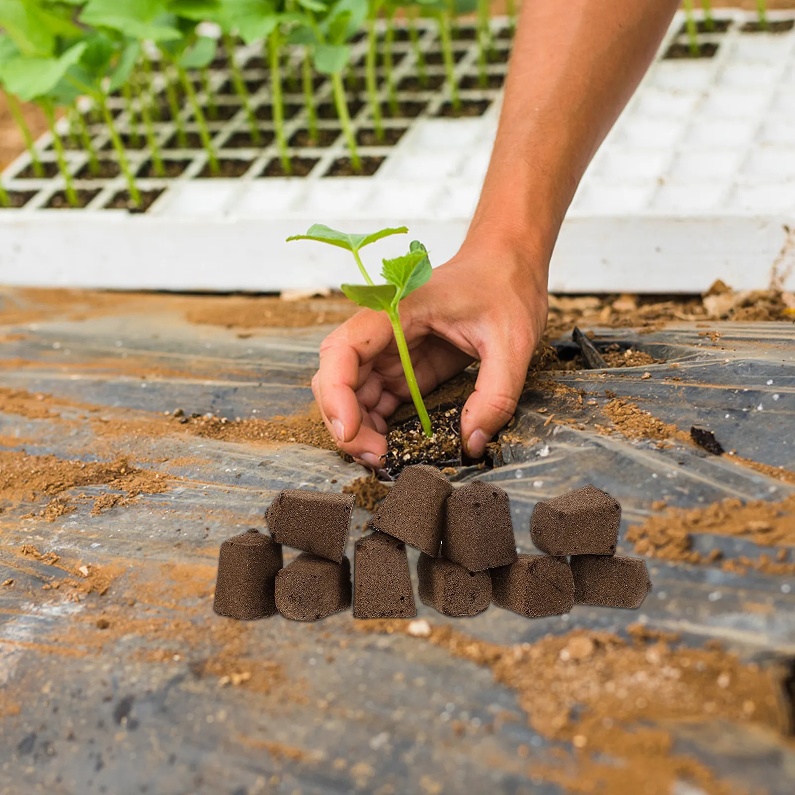10Pcs Nursery Block Seedlings Soil Nutrient Peat Breathable Moisture Retention High Success Rate Plant Fertilizer