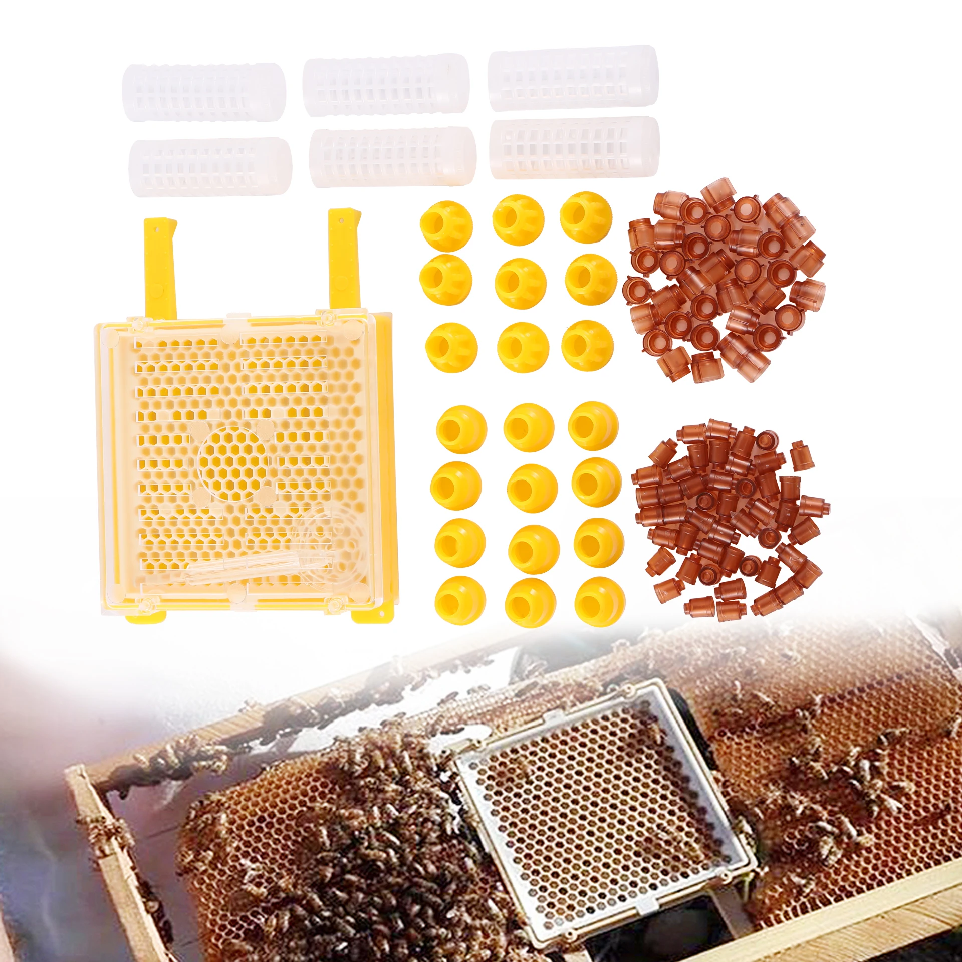 

Queen Bee Breeding Box Beekeeping Beehive Mini Beehive Queen Pollination Box Full Bee Breeding Kit Queen Cell Protective Cover