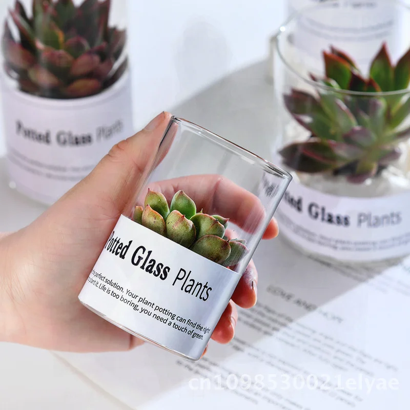 

Nordic European-Style Mini Straight Glass Flower Pot Hydroponic Borosilicate Small Vase Transparent Potted Plant Stand Various