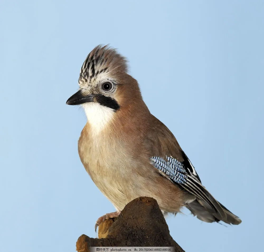 

Комплект карбонового шасси LCG: рама, защита днища, бампер, коробка передач для радиоуправляемых краулеров Axial SCX10 1/10, детали для DIY-модернизации