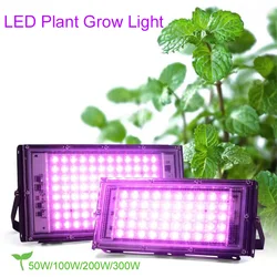 LED Grow Light Full Spectrum Phyto Lamp AC220V 50W 100W 300W With EU Plug For Indoor Grow Tent Plants Growth Light