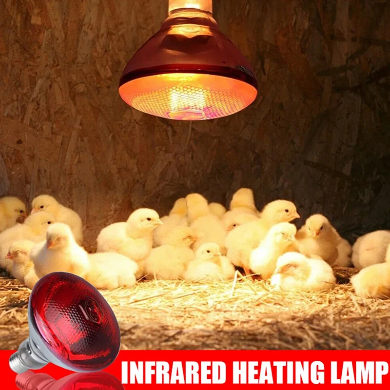 275W Poultry Infrared Heat Lamp Waterproof Anti-Explosion Thickened Light Bulbs ​For Piglet Chicken Duck Birds E27 Heating Lamp