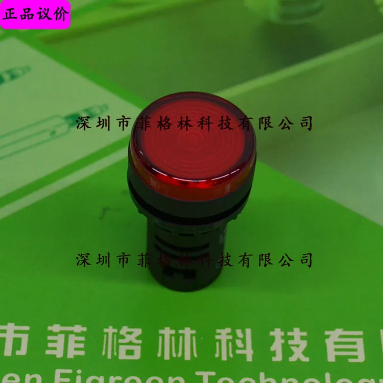 2025 [Physical Phot…