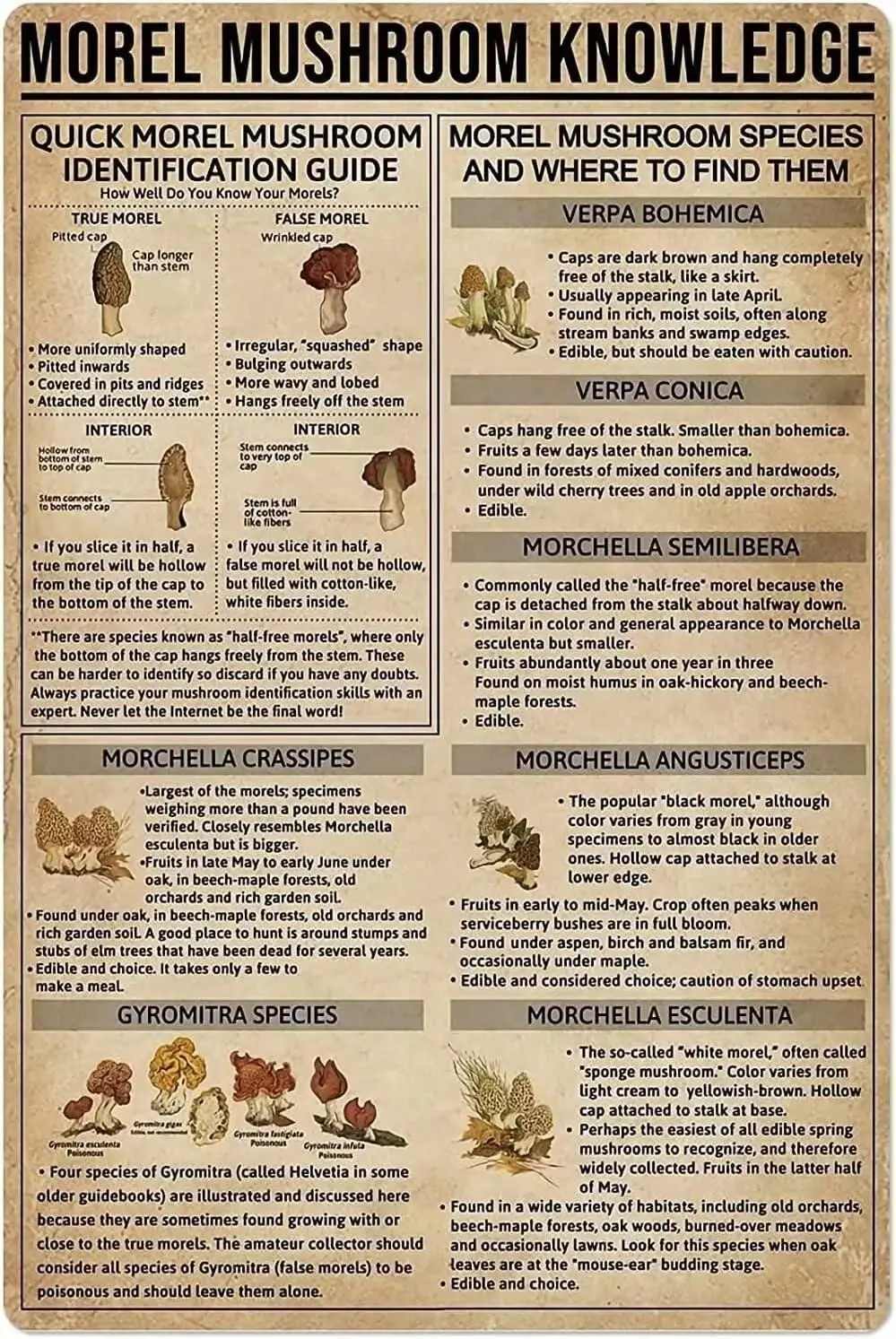 Generic Morel Mushroom Knowledge Metal Tin Sign Quick Identification Guide Wallart Artwork Poster Farm School Office People sign