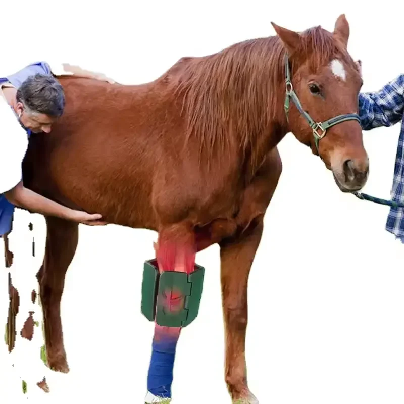 

Медицинская акупунктура, физическая реабилитационная терапия, устройство для спины, колена, ног, суставов, инфракрасная терапия, облегчение боли при артрите