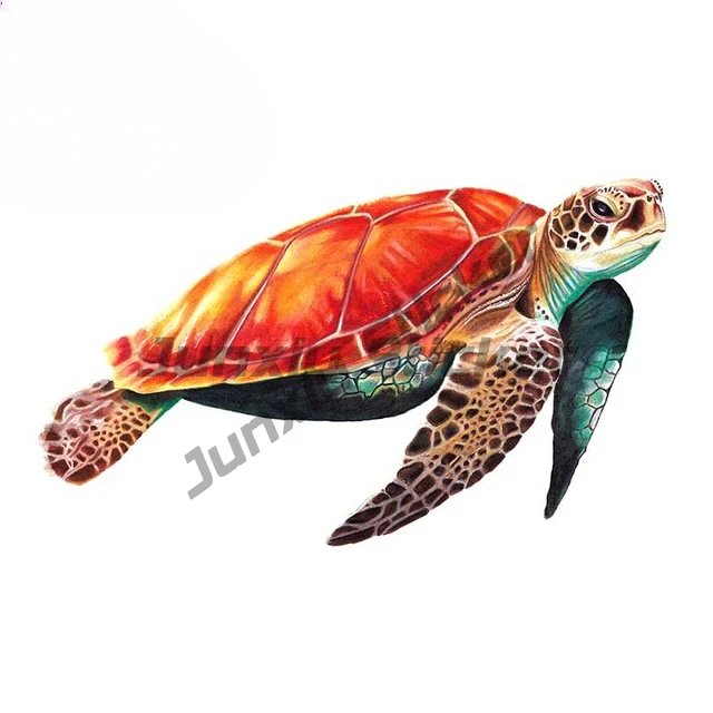 For Sea Turtle Anime Car Stickers Decal Vinyl Material Suitable for VAN RV Decoration