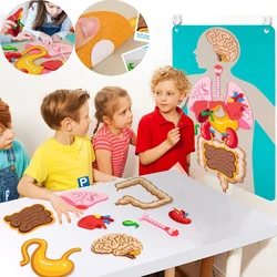 Montessori Body Parts Set Felt Board Stories Teaching Book For Toddlers Sensory Toy Preschool Teaching Story Travel Board