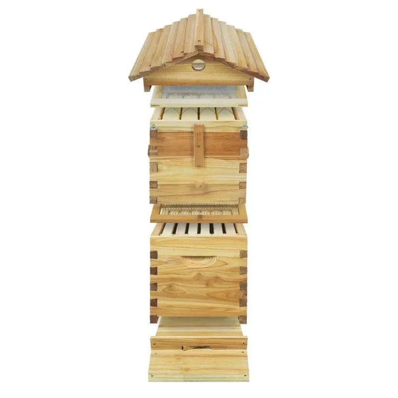 تتدفق خلية النحل مجموعة كاملة خلايا النحل صناديق بداية عدة خشبية تربية النحل منزل خلية النحل صناديق خلية النحل الإطار الآلي