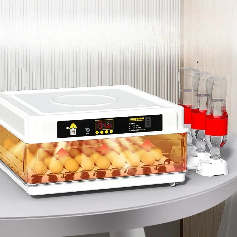 Incubator Water Bed Chicken Incubator Household Fully Automatic Intelligent Incubator  aquecedor de ambiente