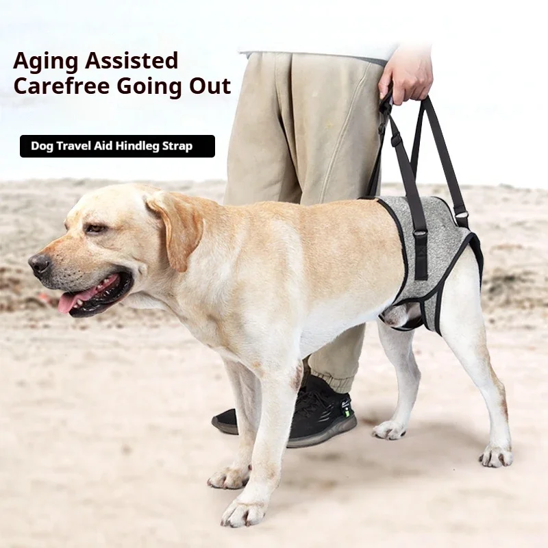 Dog Leash Set Elderly Dog Back Assist Harness for Going Out Injured Dog Decompression Assist Travel Rear Leg Harness