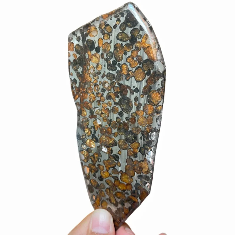 Natural Sericho Pallasite Meteorite Polished Irregular Slice Transparent Olivine Crystal Space Collectible TA814