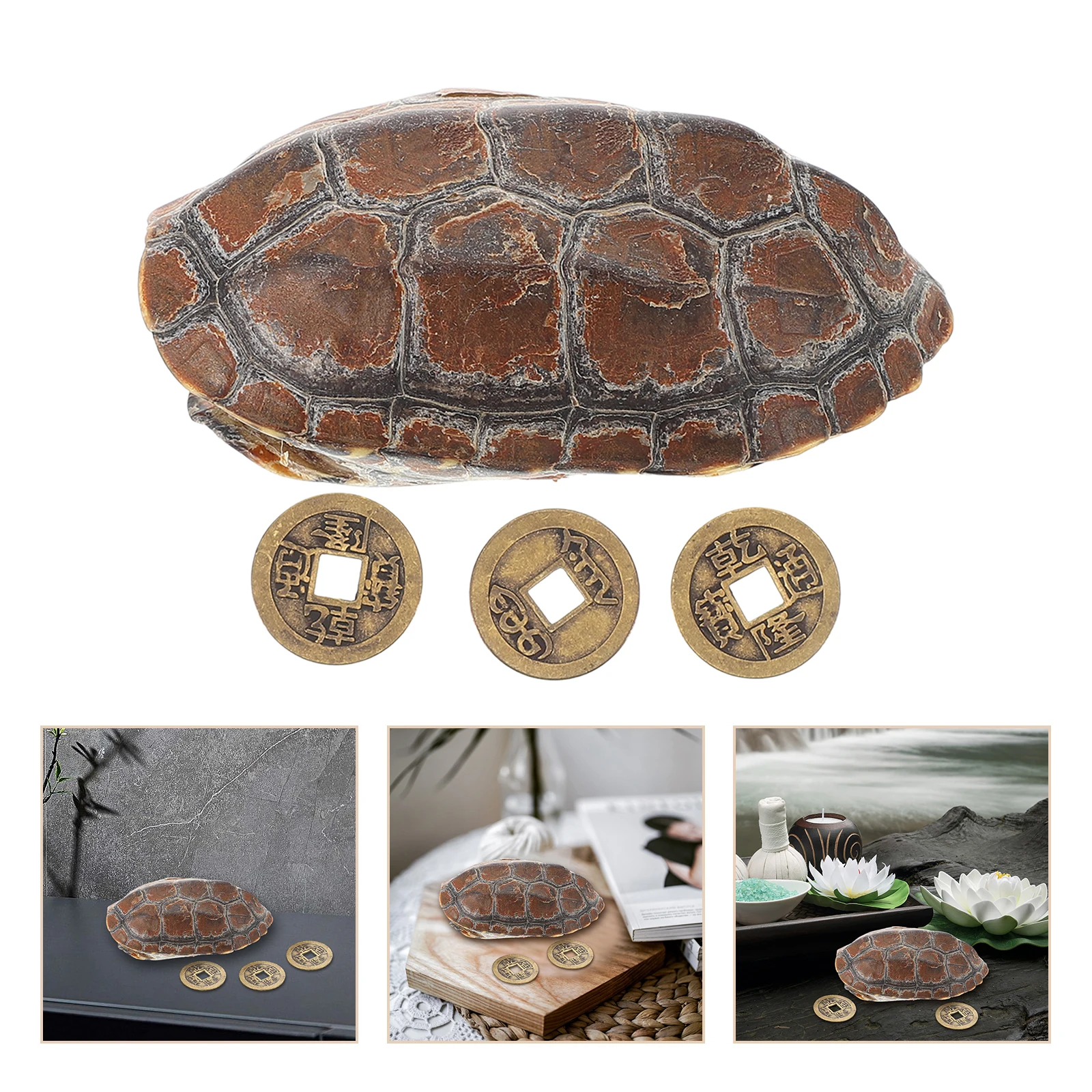 

Table Bagua Turtle Shell Handle Piece Office Natural Chinese Coins for Divination