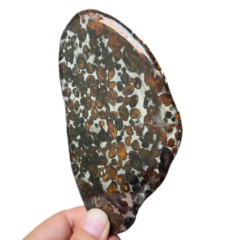 Sericho Pallasite Meteorite Slice Kenya Polished Olivine Meteorite Irregular Piece Natural Space Collection Specimen QA891