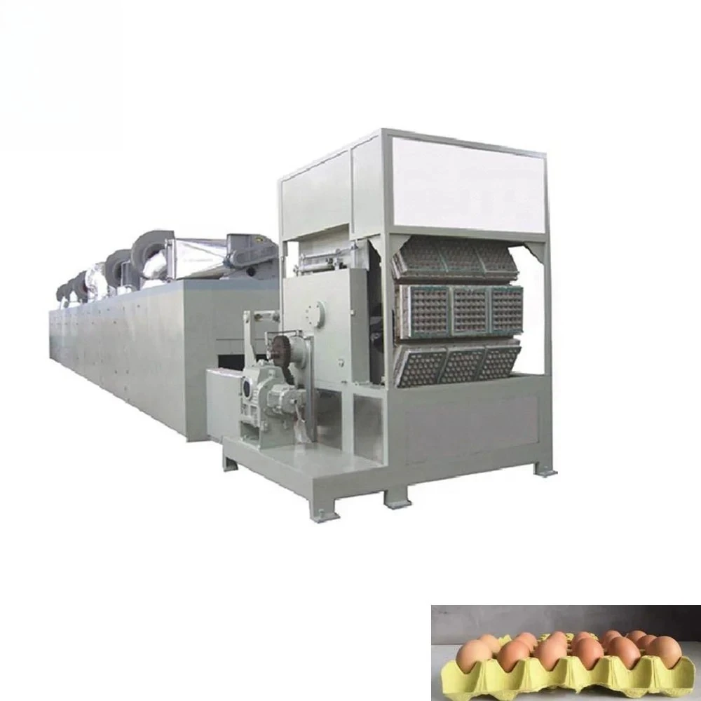 Multifunctional E g g s Packaging Boxes Carton Mini Chicken Pallet Paper Tray Making Machine