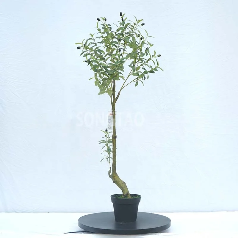 

custom.songtao Factory price garden decoration indoor decoration green olive tree customization for home decoration