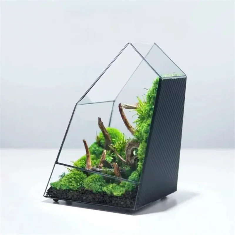 Micro Landscape Moss Fern Geometric Glass Terrarium with Door Tabletop Vases Succulents Planter Container Desktop Greenhouse