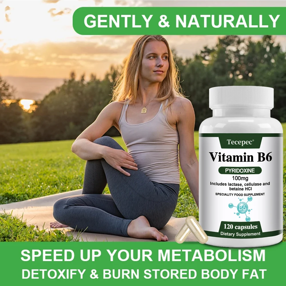 

Vitamin B6 - Promotes Metabolism, Acts As An Antioxidant, and Supports Cardiovascular, Nervous System, Immune, and Eye Health