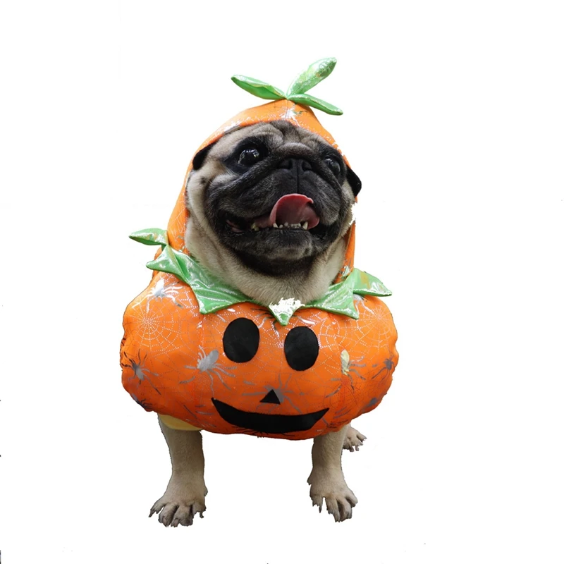 Costume da zucca di Halloween per cani e gatti, costumi Cosplay per animali domestici, vestiti caldi per cuccioli con cappuccio vestiti autunnali