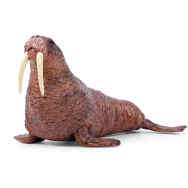 15*8*7CM Children simulation marine wild animal plastic model solid walrus static animal model toy decoration