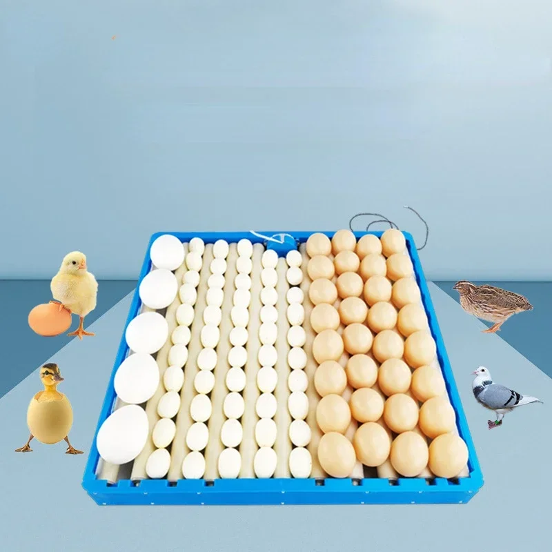 NEW Incubadora Multifuncional Automático Pequeno Doméstico Incubadora Egg Pan Frango Duck Goose Bird Egg Holder 70 Roller Egg Pa