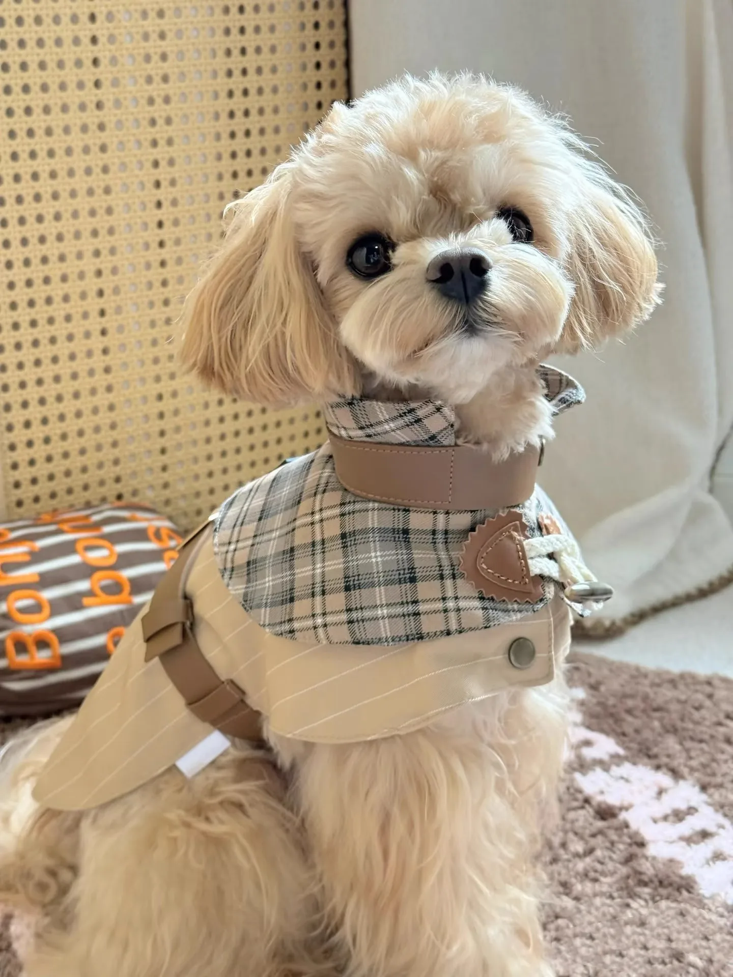 

Khaki-Colored British Gentleman-Style Pet Coat With Classic Check Dogs Windbreaker
