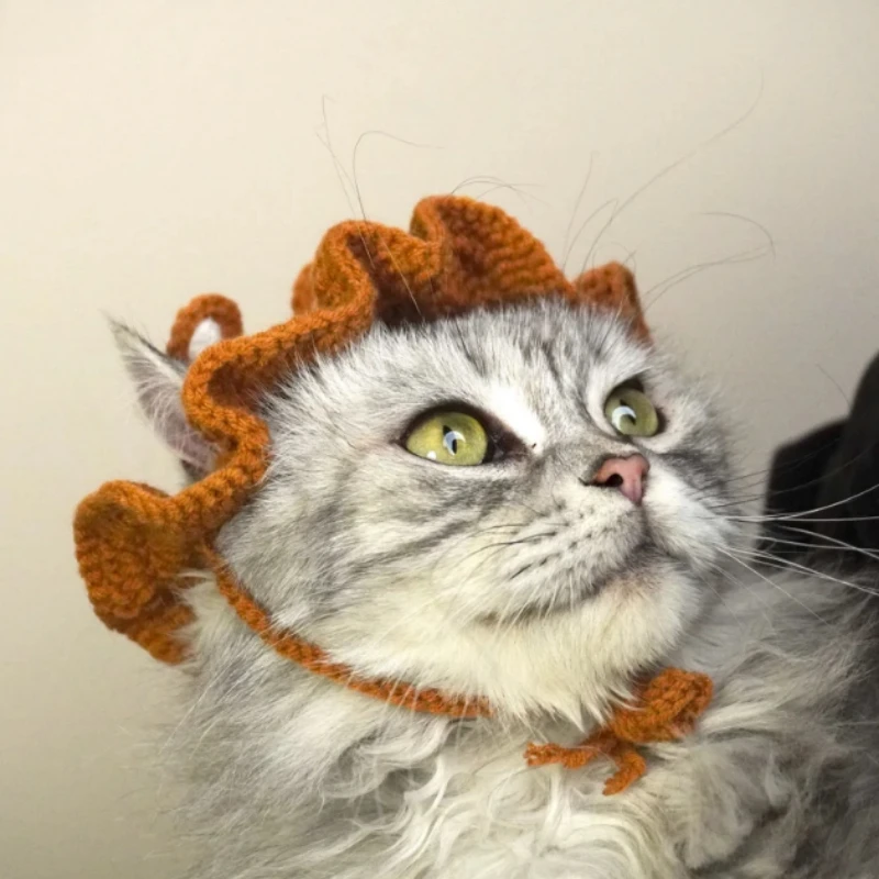 Brown Bear Crochet Hats for Cats and Small Dogs Special Gifts Handmade Gifts Crochet Cat Hat Pet Hat for Cats  Pet Accessories