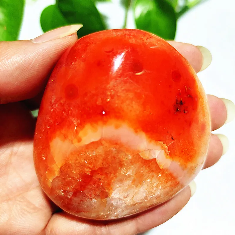 Natural Stone Sardonyx Agate Crsytal Palm Aquarium Decor Ornaments Gem and Reiki Meditation Spiritual